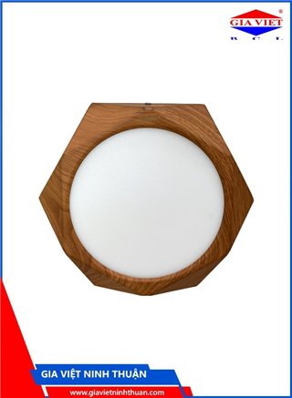 Đèn LED ốp trần LGT